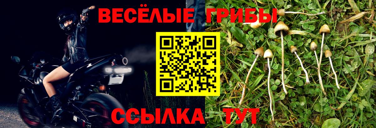Галлюциногенные грибы Cubensis  купить наркотик  Жигулёвск  Вход с VPN 