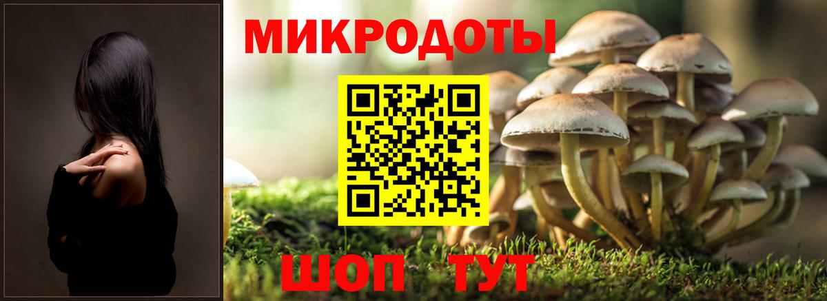 Галлюциногенные грибы ЛСД Жигулёвск